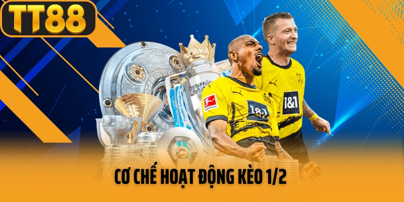 Cơ chế hoạt động kèo 1/2